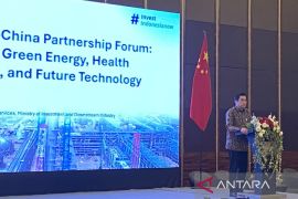 RI tawarkan peluang investasi data center kepada pelaku usaha China