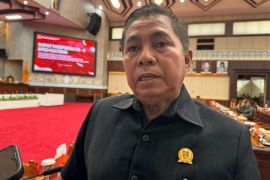 DPRD Kalteng dorong pemda maksimalkan pendapatan daerah untuk perkuat fiskal