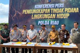 Polda Riau tetapkan tersangka perambahan hutan mangrove 100 ha lebih di Rokan Hilir