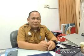 Sudah ada 31 kasus DBD di Sukamara