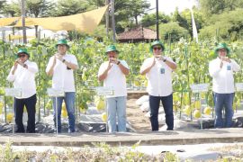 Petro Agrifood Expo di Gresik kampanyekan regenerasi petani