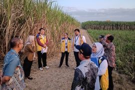 Kementerian PU pastikan kelayakan lahan Sekolah Rakyat Tulungagung