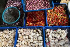 Akademisi: Stabilitas pasokan pangan kunci harga tetap wajar