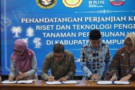 PTPN I jadi pusat riset bibit unggul perkebunan nasional di Lampung Selatan