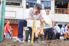 Pemkot tanam pohon gadihu di tujuh lokasi guna perluas penghijauan ciptakan lingkungan asri