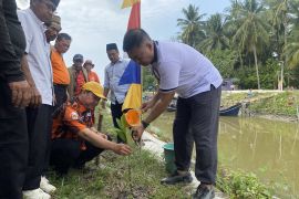 Pemdes Brundung apresiasi bantuan 10.000 mangrove untuk revitalisasi pesisir