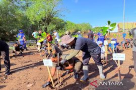 Pelindo Batulicin perkuat komitmen dukung pelestarian mangrove di wilayah pesisir