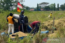 Bulog Cirebon serap 257.832 ton gabah dari petani hingga Juli ini