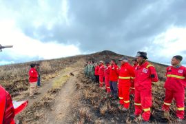Balai TN Tambora dalami penyebab dan pelaku kebakaran savana