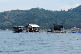 Pemprov Lampung sebut penataan ruang laut berkelanjutan dukung ekonomi biru