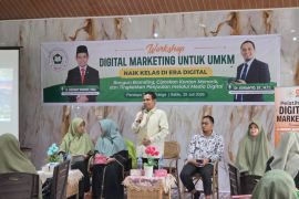 Anggota DPR dorong pelatihan digital marketing perkuat UMKM Riau
