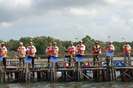 PLN Indonesia Power Tanam 15 ribu bibit mangrove di Taman Hutan Raya Ngurah Rai