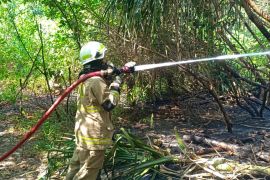 Bekas puntung rokok picu kebakaran lahan di Pulau Tidung