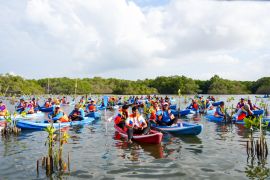 IMIP kolaborasi Kementerian Lingkungan Hidup wujudkan satu juta mangrove