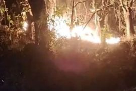 Waspada karhutla di Hutan Bacukiki Parepare