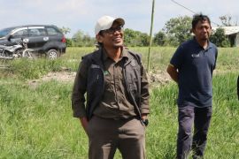 DPTPH Kaltim maksimalkan 188 hektare lahan  di Kabupaten Berau