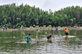 Adindo Hutani Lestari, Pemkab Tana Tidung dan Warga Desa Bebatu Selamatkan Masa Depan Pesisir