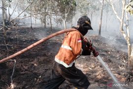 BPBD padamkan karhutla di Sungai Rotan Muara Enim
