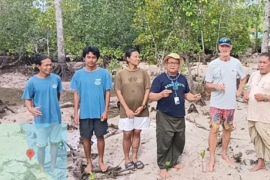 Pascasarjana Universitas Bung Hatta dan Kandui Care Foundation tanam mangrove di Mentawai
