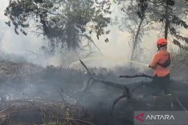 Dalkarhutla: Sulitnya sumber air hambat pemadaman karhutla di Kubu Raya