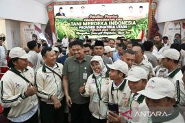 Gubernur Sumut: pangan tanggung jawab pemerintah hingga tingkat desa