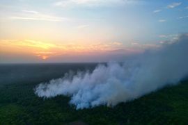Kebakaran lahan di Kotim rambah kebun sawit warga
