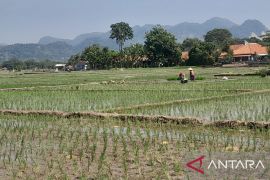 BP Mektan Jabar optimalkan pompanisasi bantu petani siap hadapi kemarau