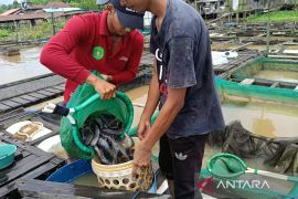 DKP Kaltim dorong realisasi Kampung Nelayan Merah Putih di Kukar