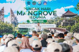 Wamenhut: Perlindungan hutan mangrove beri dampak sosial-ekonomi