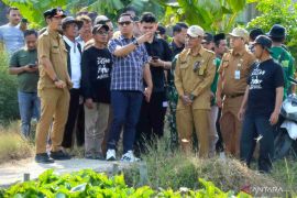 Pemkab Bekasi percepat normalisasi saluran irigasi cegah kekeringan sawah