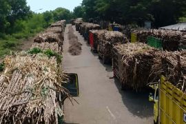 Petani tebu Dompu dorong dialog kenaikan harga hasil panen
