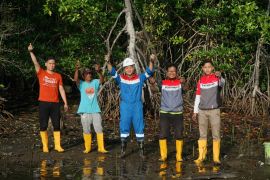 Peringati Hari Mangrove Sedunia, Kilang Plaju rawat 21 ribu bibit mangrove di Banyuasin