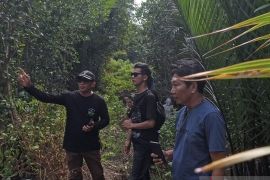 Desa Medan Mas lindungi kawasan mangrove lewat perdes
