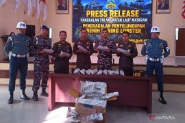 Penyelundup benih lobster kabur usai disatroni personel Lanal Mataram