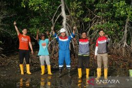 Peringati Hari Mangrove Sedunia, Kilang Plaju tegaskan komitmen jangka panjang lestarikan ekosistem pesisir