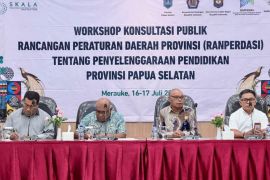 Pemprov Papua Selatan susun raperdasi penyelenggaraan pendidikan