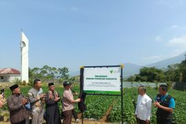 Dompet Dhuafa terus perluas program pemberdayaan dan ketahanan pangan
