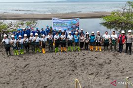 PLTU Amurang tanam mangrove di Tenga-Minsel
