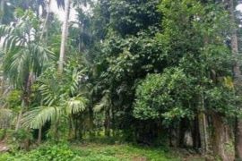 Potensi agroforestri Salibutan masuk pasar karbon sekaligus peluang pendapatan warga