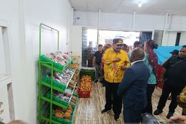 Pemprov Papua Pegunungan kirim hasil pertanian ke Biak hingga Merauke