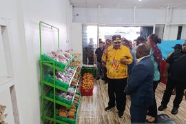 Pemprov Papua Pegunungan dorong ekonomi rakyat untuk tekan inflasi