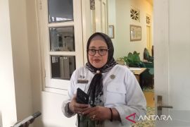 Pemda DIY sebut operasional 17 SPPG dihentikan sementara