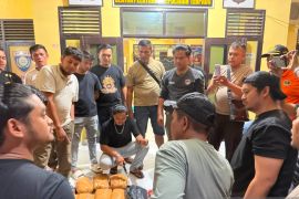 Tim gabungan Ditresnarkoba Polda Sumbar-Polres Pasaman Barat gagalkan peredaran puluhan paket ganja