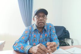 Kementan anggarkan Rp24,5 miliar cetak sawah rakyat di Kabupaten Jayawijaya