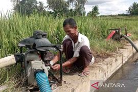 Petani Aceh Besar gunakan pompa airi areal persawahan atasi kekeringan