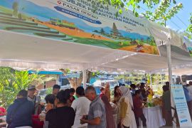 DJPb: Belanja pengendalian inflasi efektif menekan inflasi di NTT