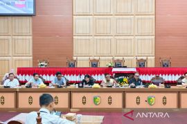 DPRD Palangka Raya minta PLN segera atasi pemadaman listrik bergilir