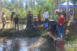 Bangka Tengah integrasikan budi daya ikan perkuat ekonomi desa