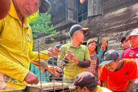 Orang Utan hasil evakuasi di Tabalong ditranslokasikan ke HSU