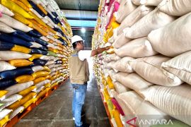 Bulog Manokwari salurkan 2.082,3 ton beras ASN untuk empat pemda